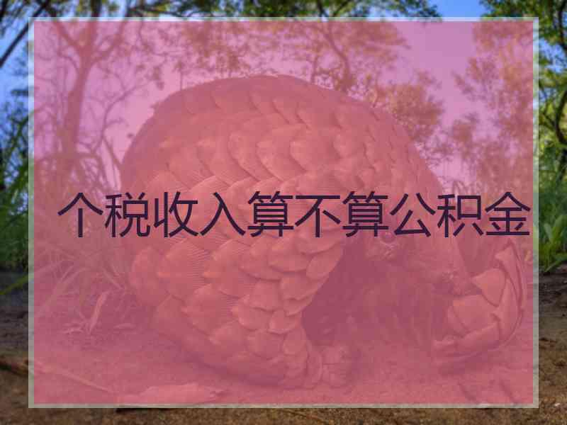 个税收入算不算公积金
