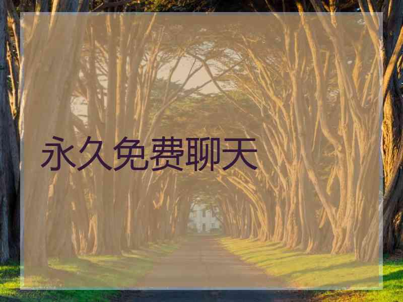 永久免费聊天
