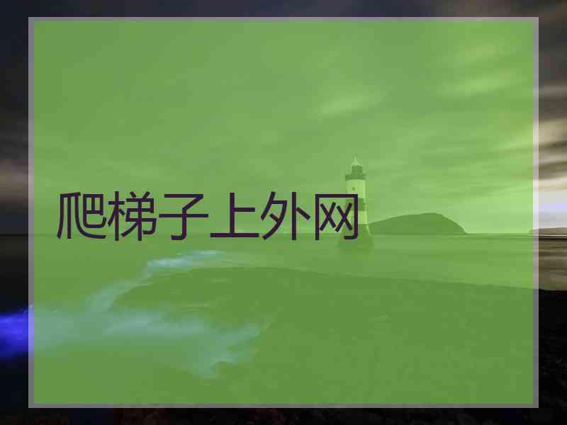 爬梯子上外网