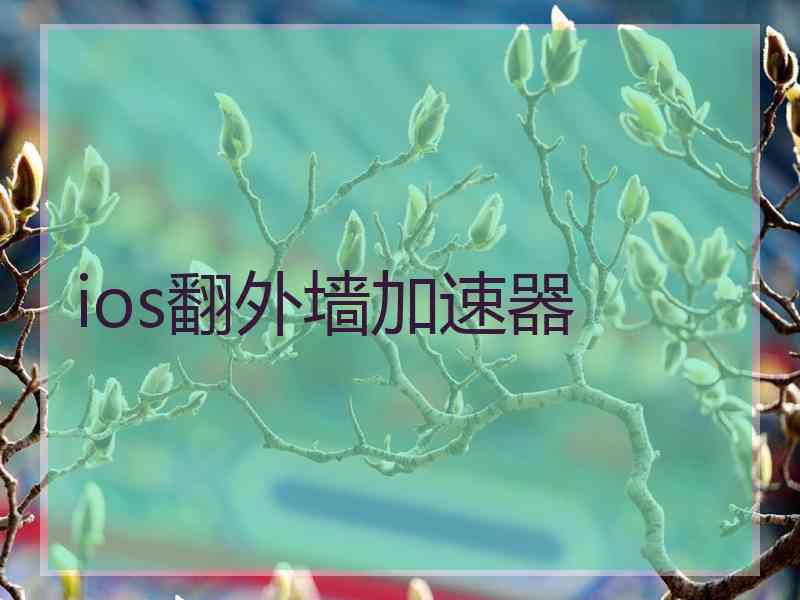 ios翻外墙加速器