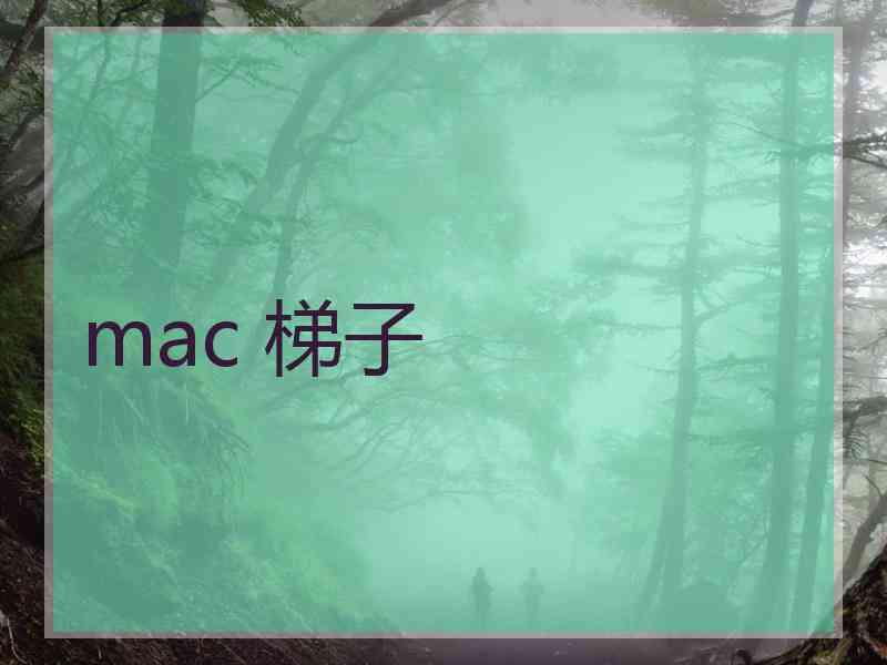 mac 梯子