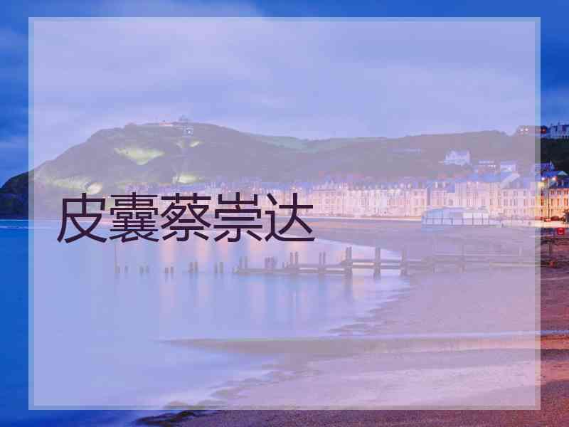 皮囊蔡崇达