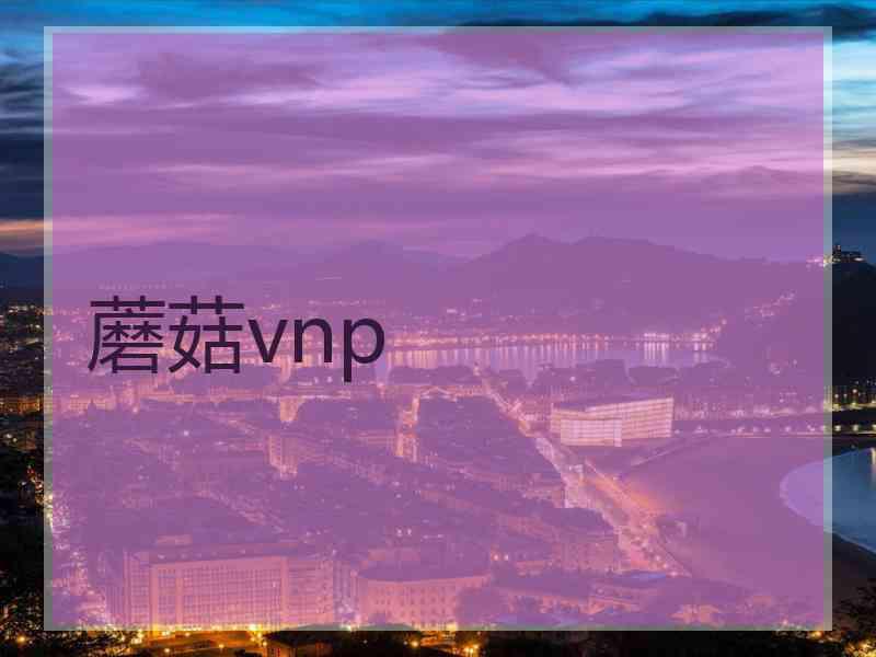 蘑菇vnp