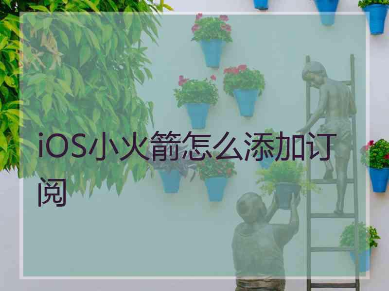 iOS小火箭怎么添加订阅