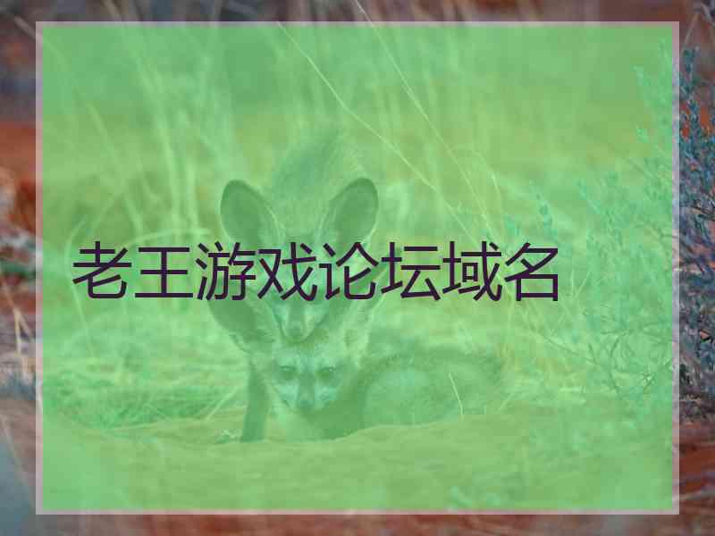 老王游戏论坛域名