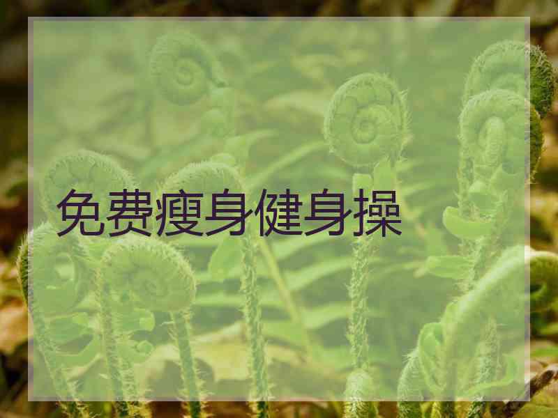 免费瘦身健身操