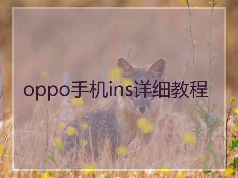 oppo手机ins详细教程