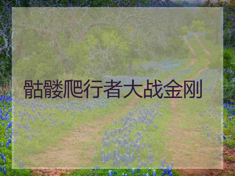 骷髅爬行者大战金刚