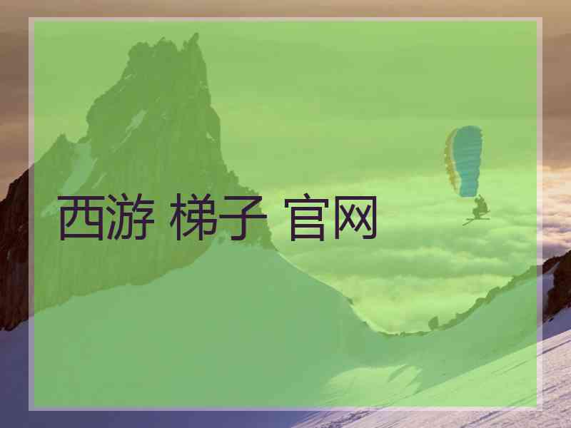 西游 梯子 官网