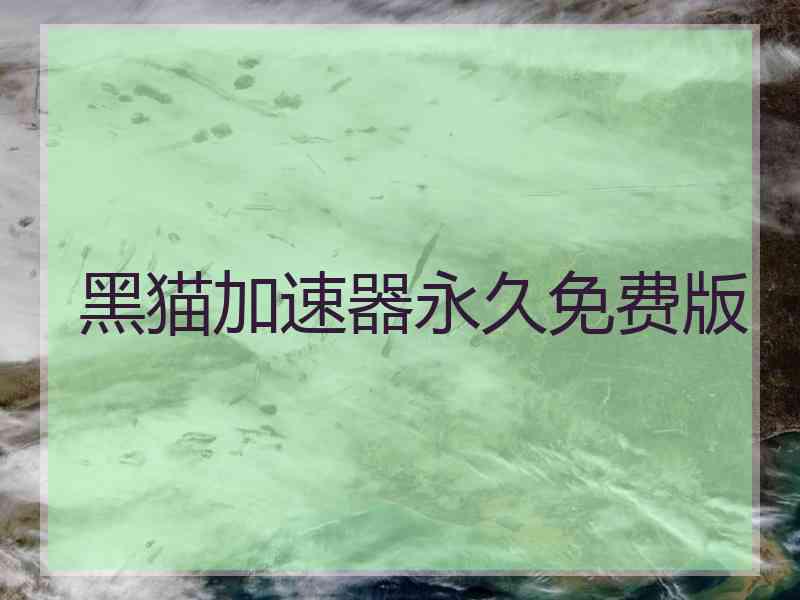 黑猫加速器永久免费版