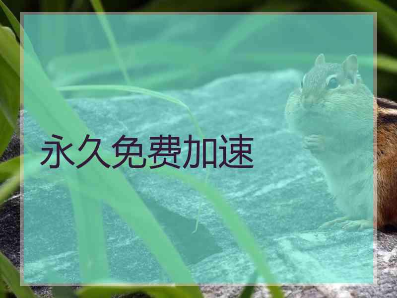 永久免费加速