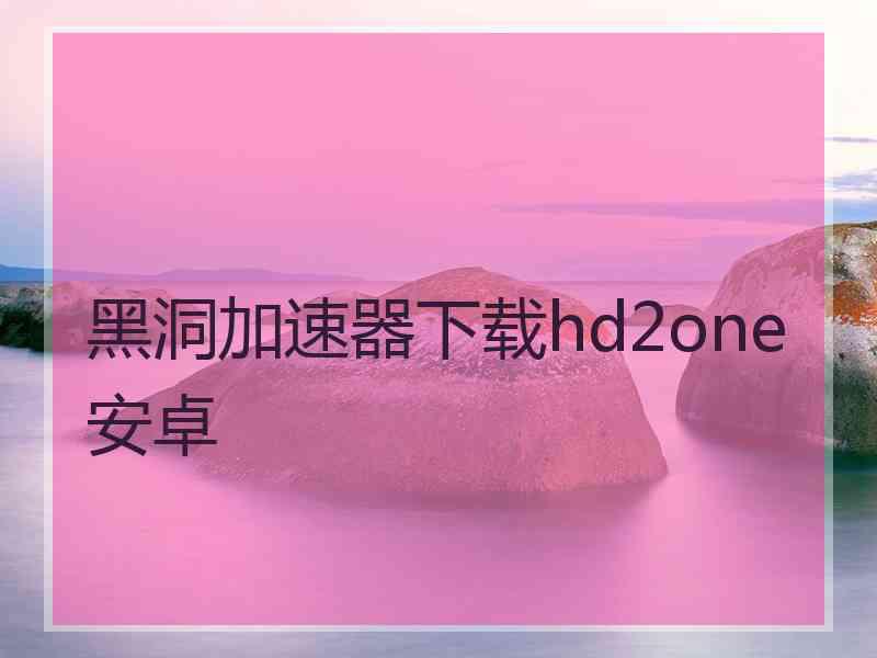 黑洞加速器下载hd2one安卓