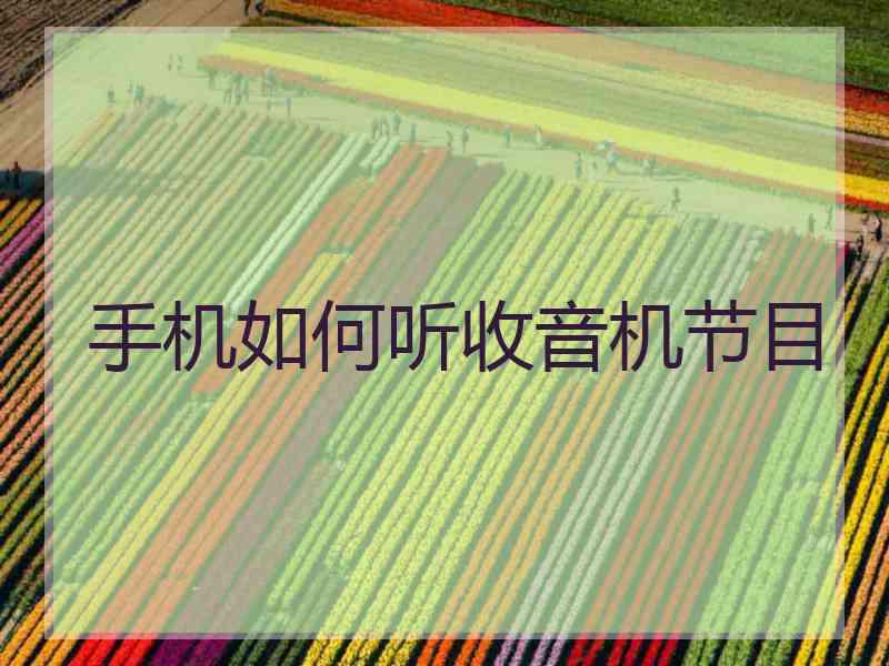 手机如何听收音机节目