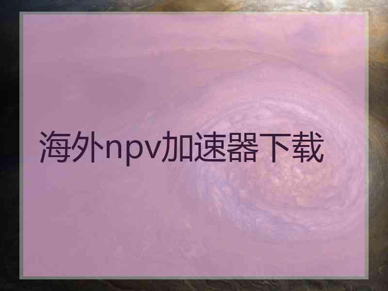 海外npv加速器下载