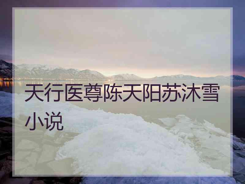 天行医尊陈天阳苏沐雪小说