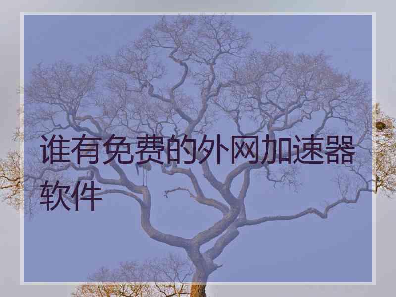 谁有免费的外网加速器软件
