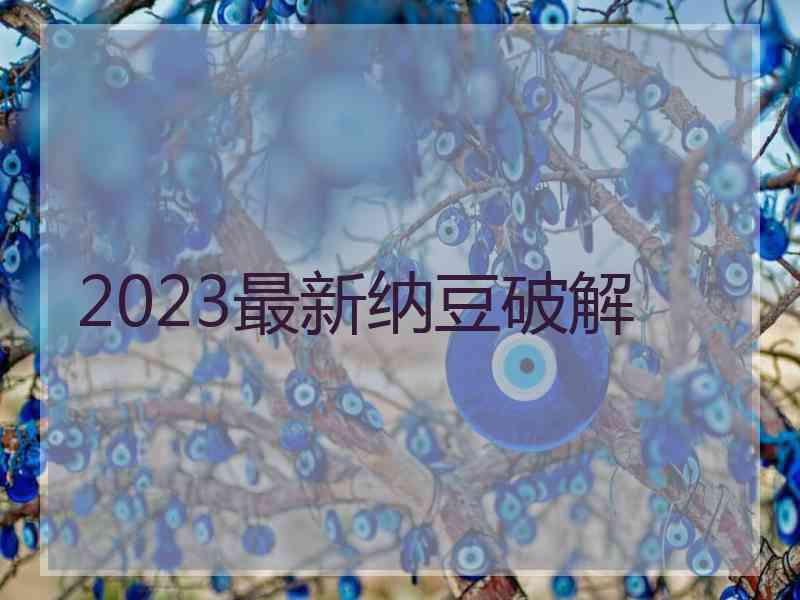 2023最新纳豆破解