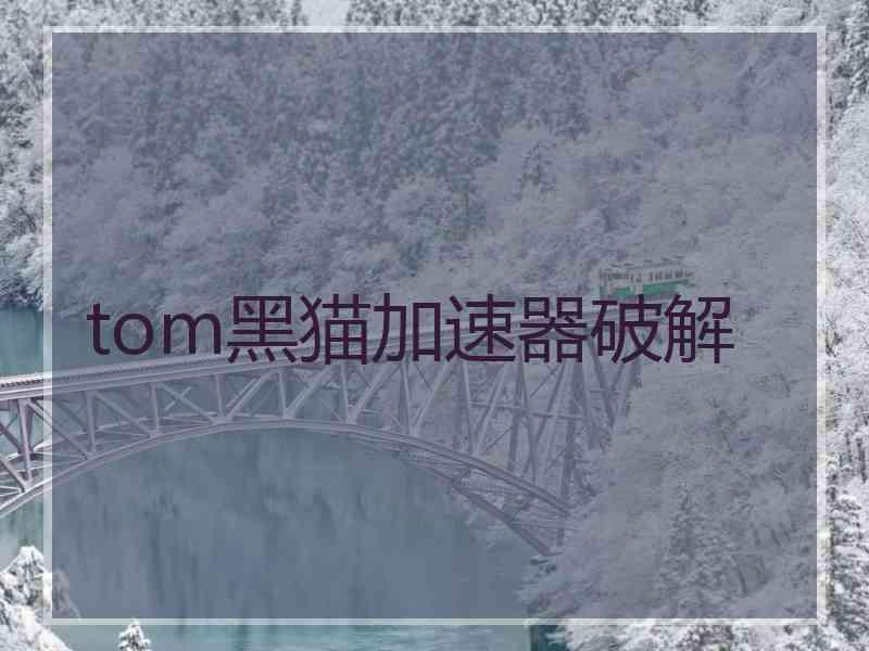 tom黑猫加速器破解