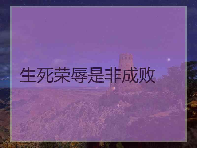 生死荣辱是非成败