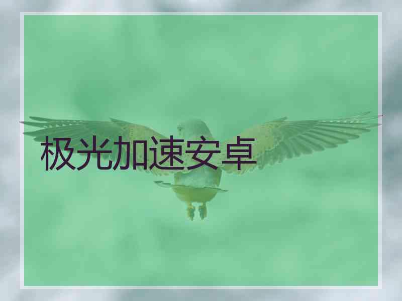 极光加速安卓