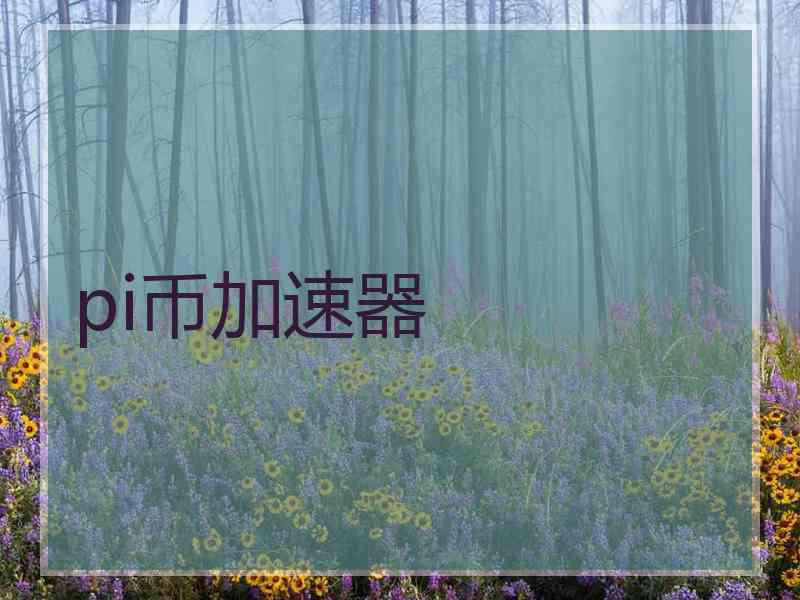 pi币加速器