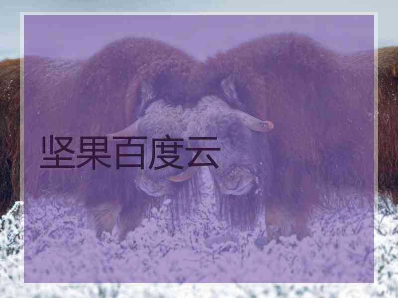 坚果百度云