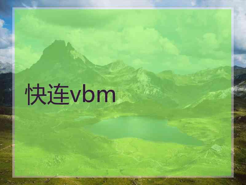 快连vbm