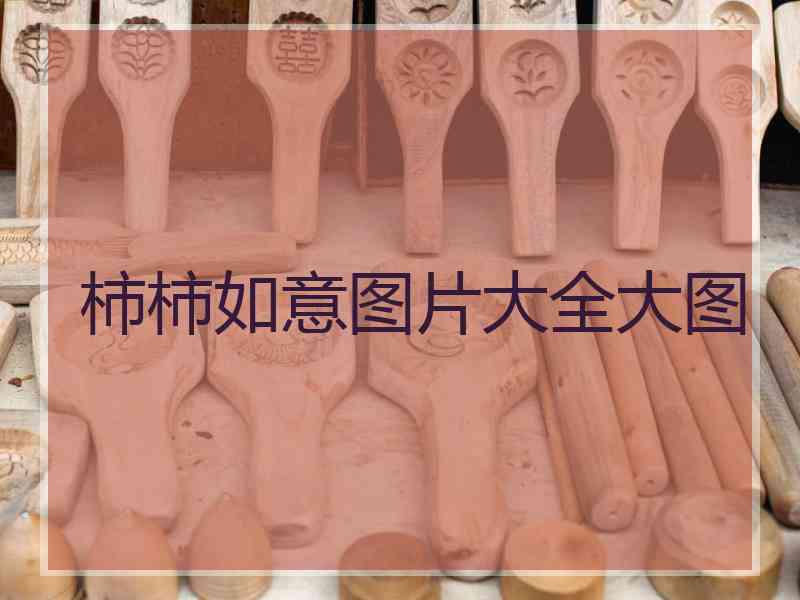 柿柿如意图片大全大图