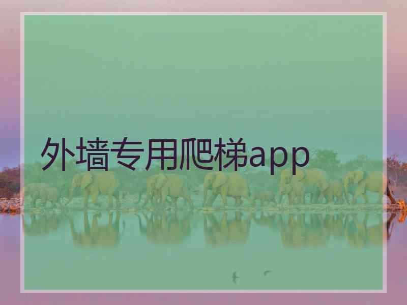 外墙专用爬梯app