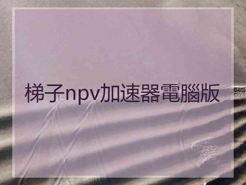 梯子npv加速器電腦版