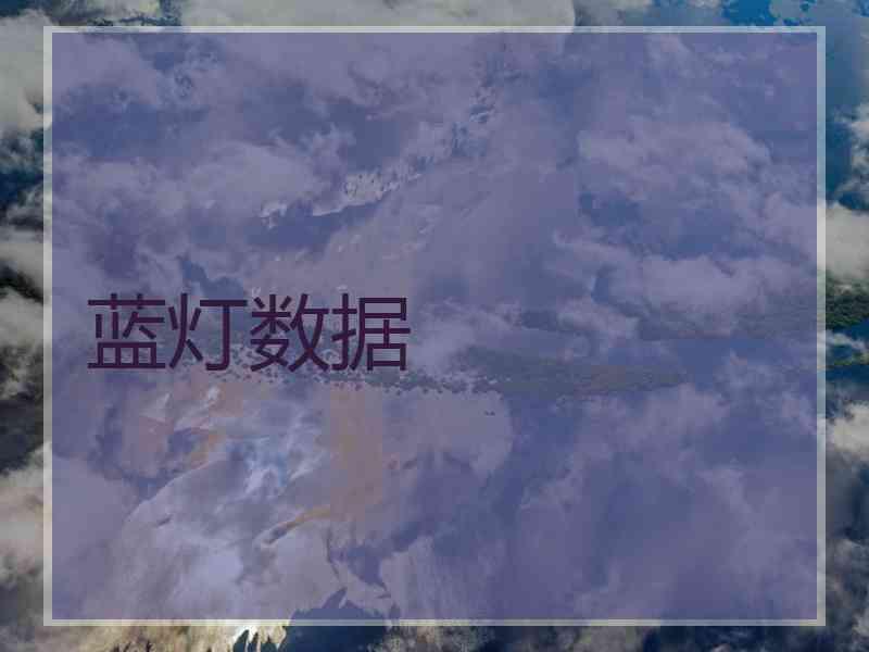 蓝灯数据