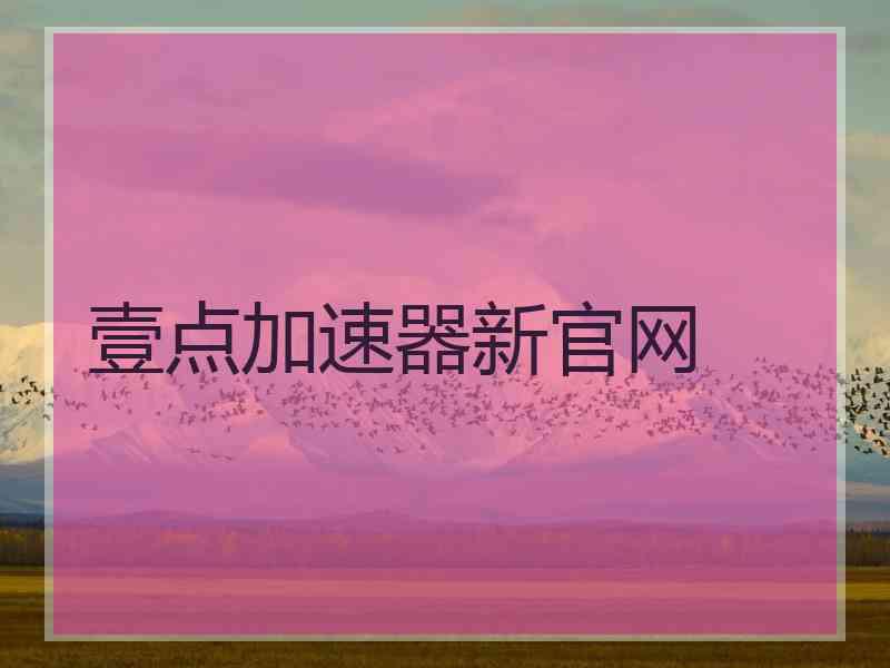 壹点加速器新官网