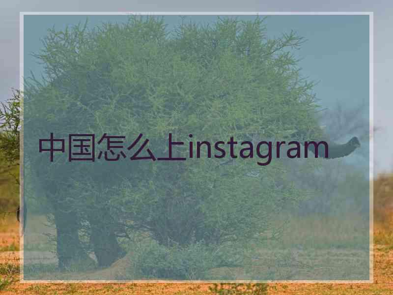 中国怎么上instagram