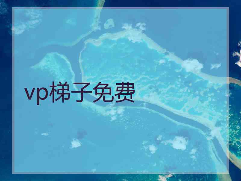 vp梯子免费