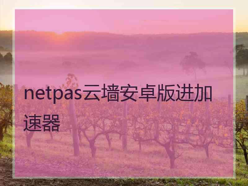 netpas云墙安卓版进加速器