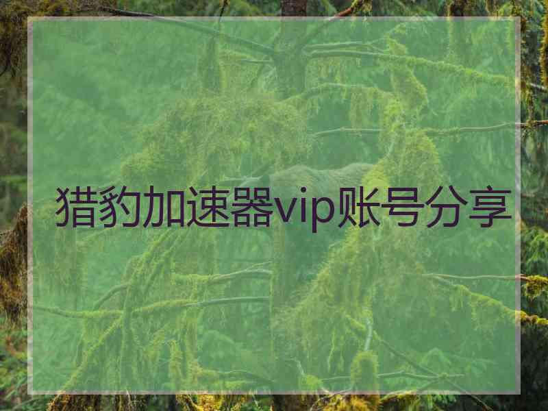 猎豹加速器vip账号分享