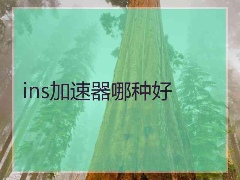 ins加速器哪种好