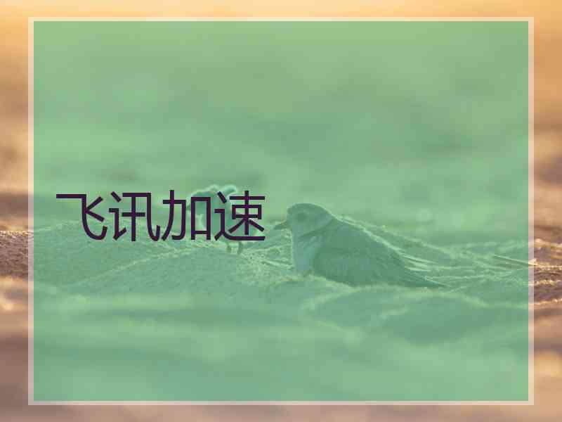 飞讯加速