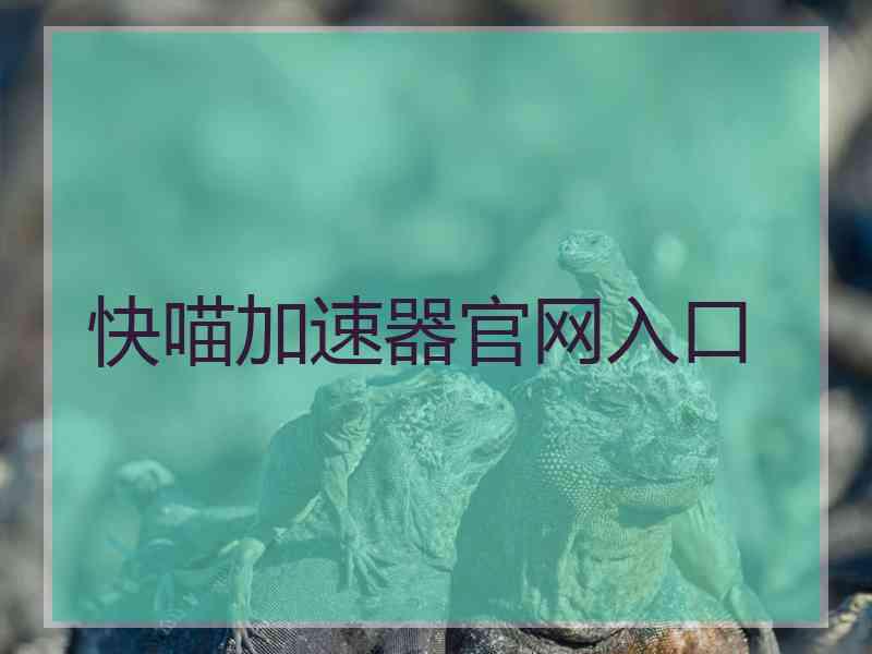 快喵加速器官网入口