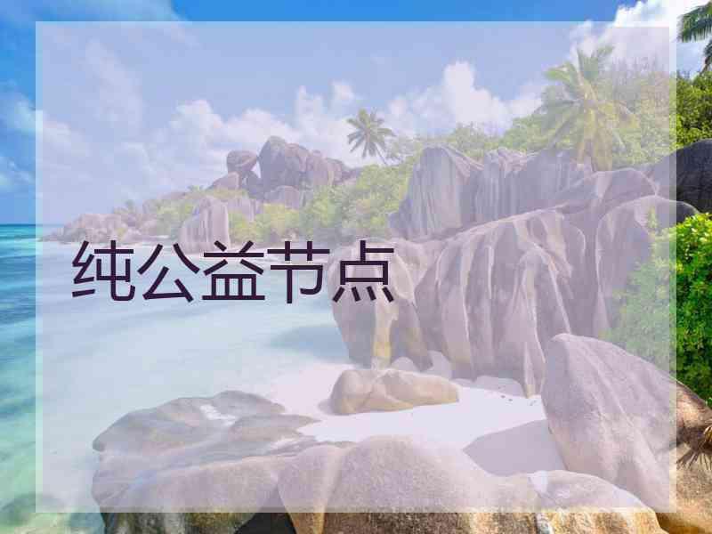 纯公益节点