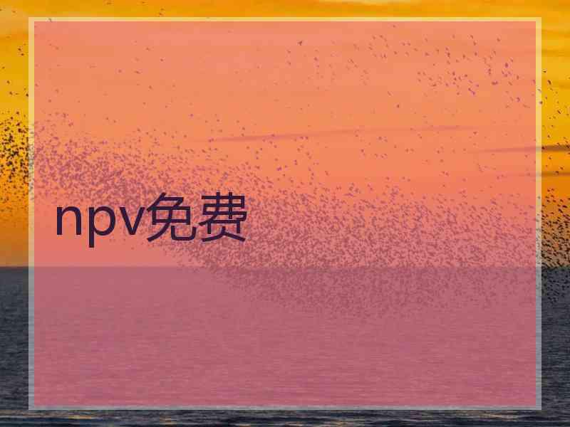 npv免费