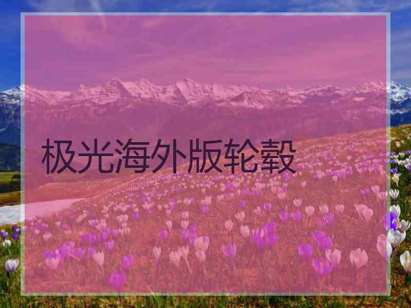 极光海外版轮毂