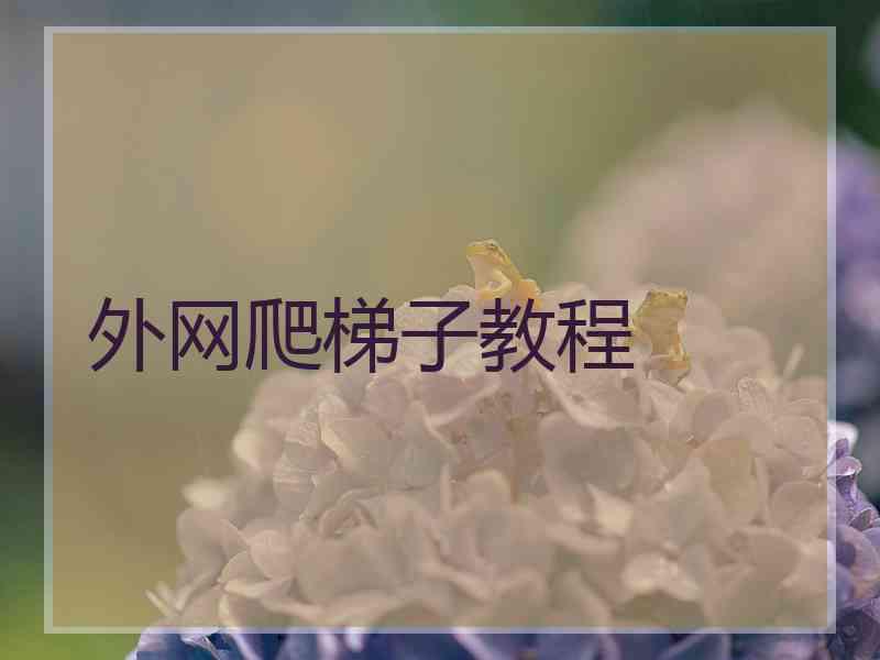 外网爬梯子教程
