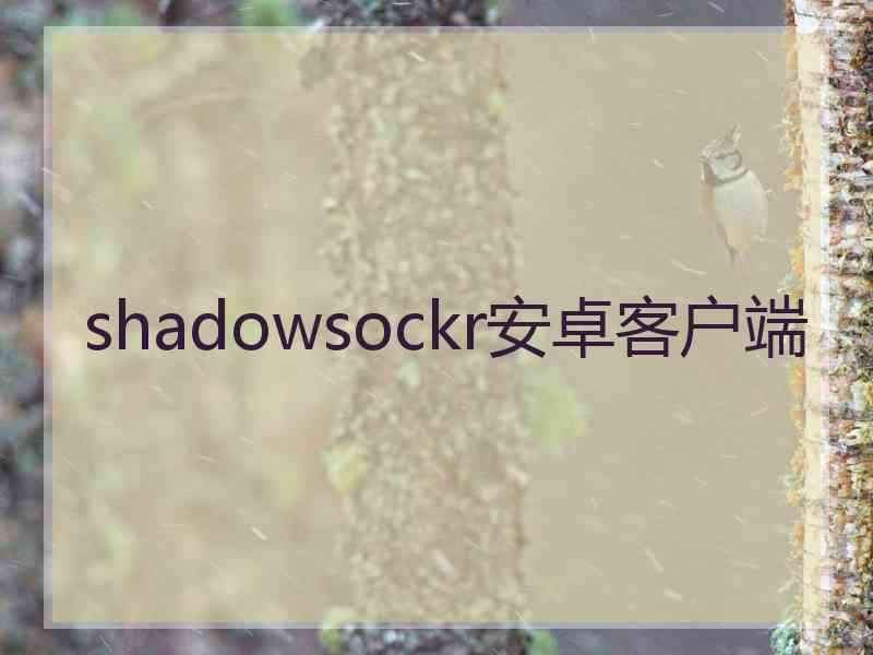 shadowsockr安卓客户端