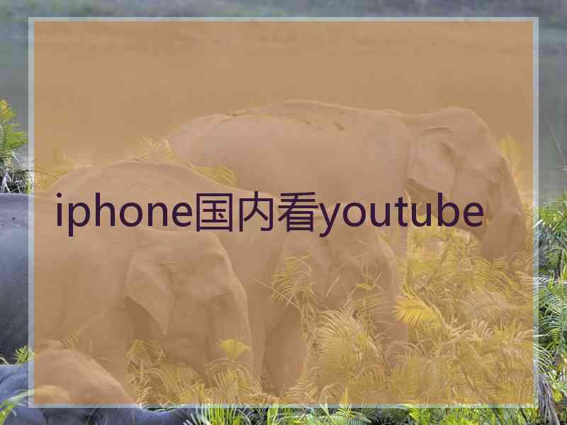 iphone国内看youtube