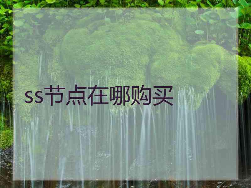 ss节点在哪购买