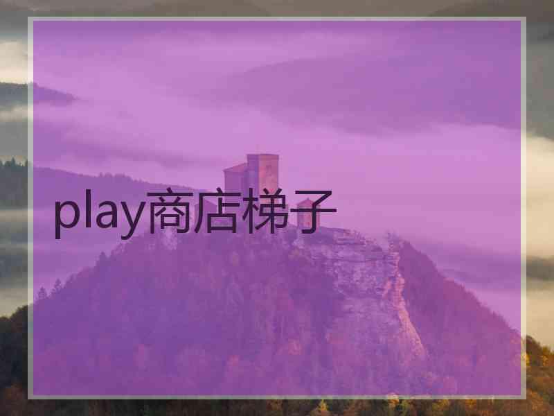 play商店梯子