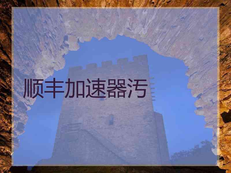 顺丰加速器汚