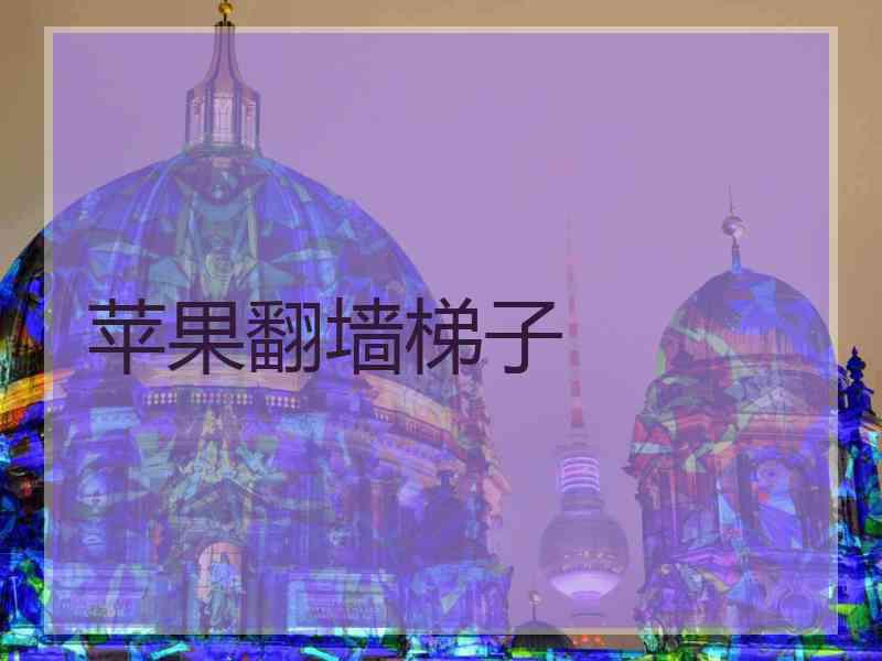 苹果翻墙梯子