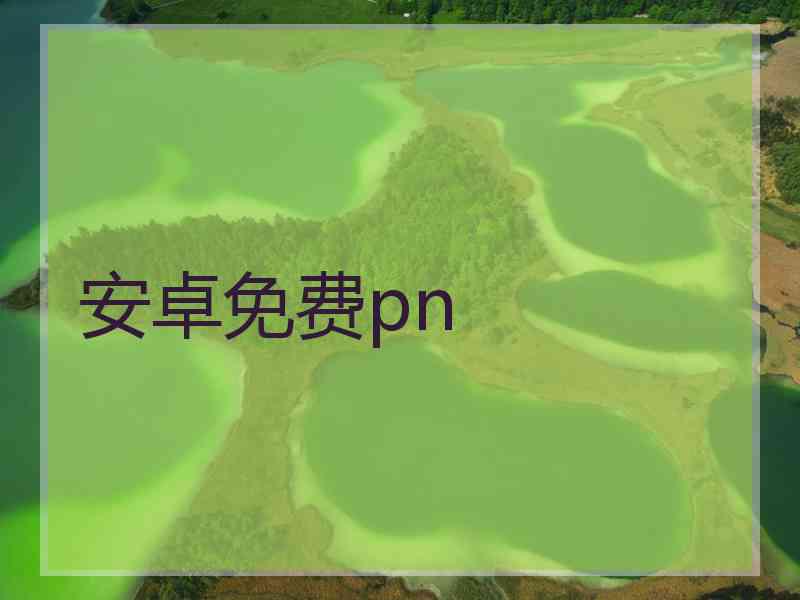 安卓免费pn